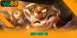 Mèo Chiêu Tài